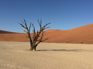 Sossusvlei Namibia